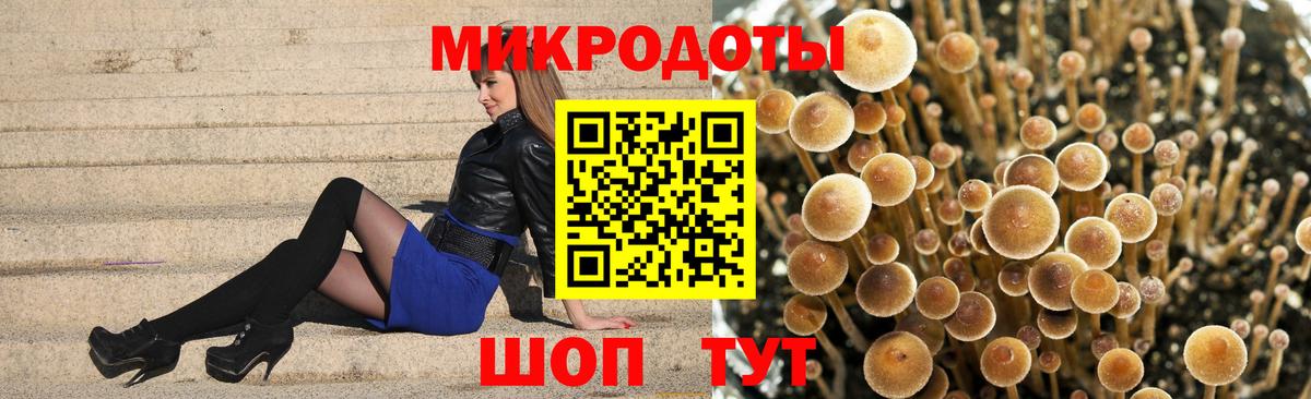 Псилоцибиновые грибы ЛСД  Вход с VPN  Псилоцибиновые грибы прущие грибы  Тихвин 